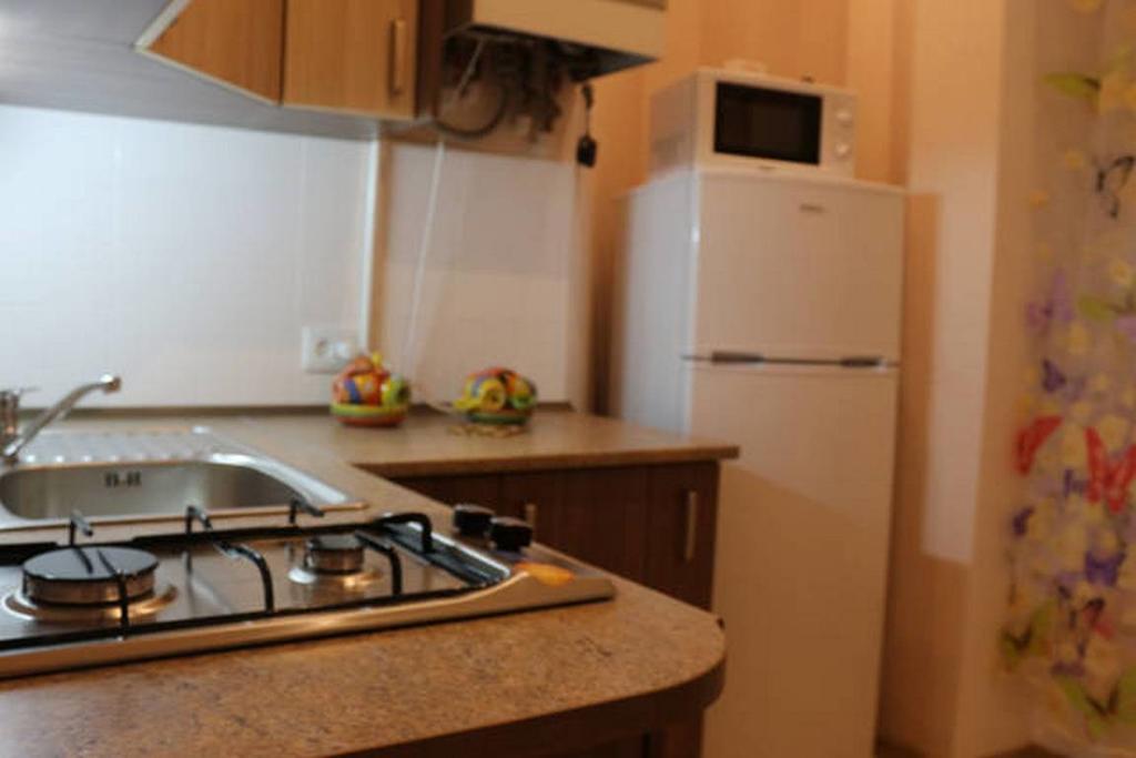 Apartmán Horodotska 60 Lvov Exteriér fotografie